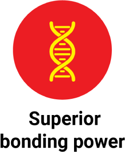 Clients Logo